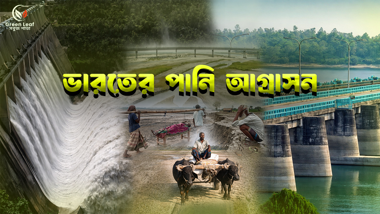 ভারতের পানি আগ্রাসন | ভারত কীভাবে বাংলাদেশকে মরুকরণের দিকে ঠেলে দিচ্ছে?